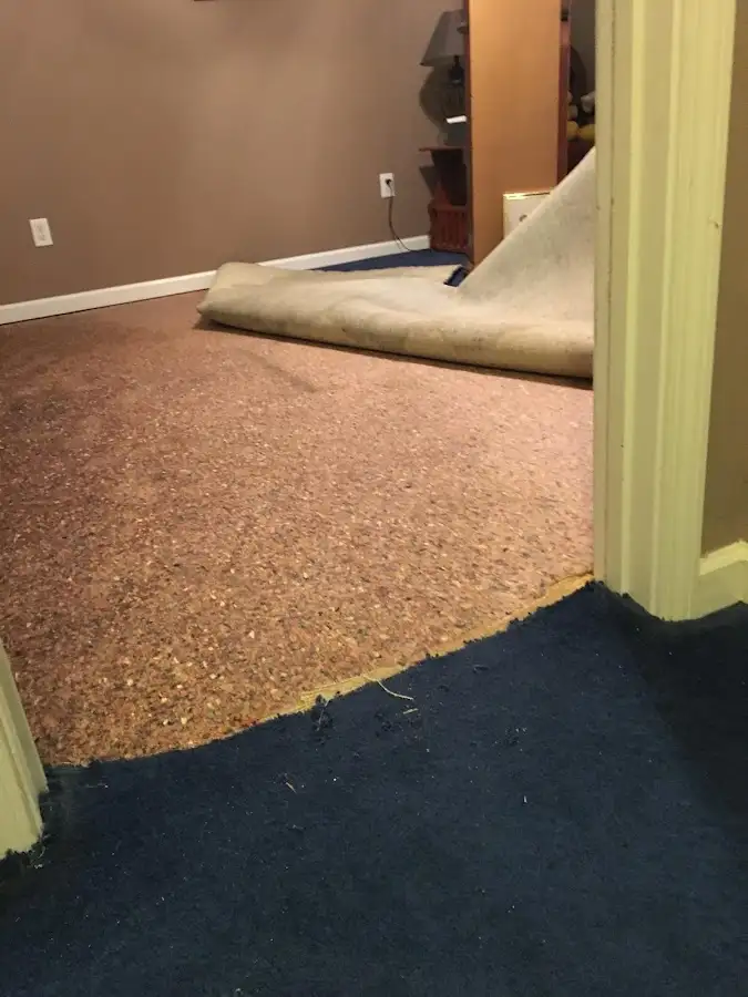 Carpet pad removal revealing water damage during Water Mitigation Services in Mission