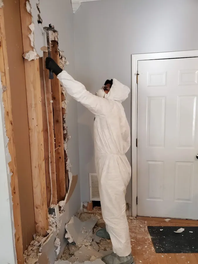 Water Damage Restoration services in Mission, TX